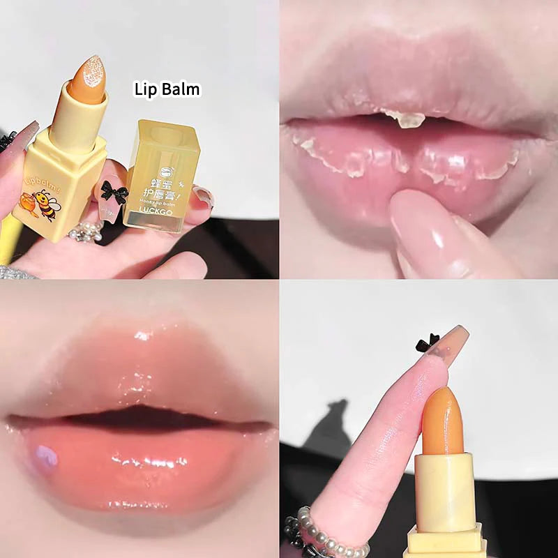 Cappuvini Honey Lip Care Set